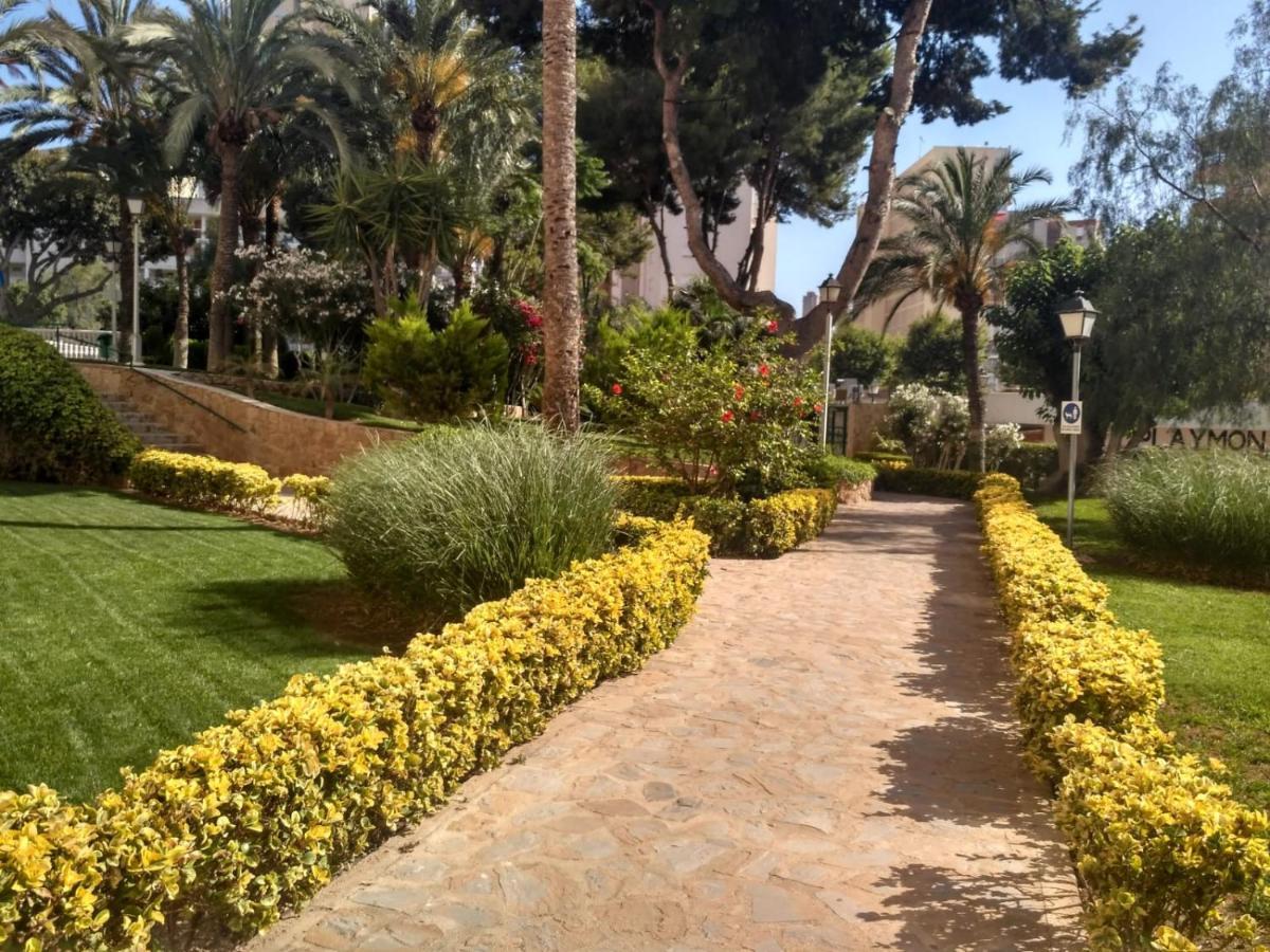 Wifi Loix Apartment Benidorm Extérieur photo